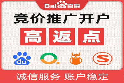网站sem托管案例分享：如何精准投放广告